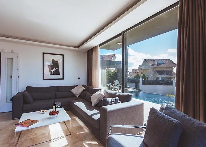 Royal Blue - Luxury *