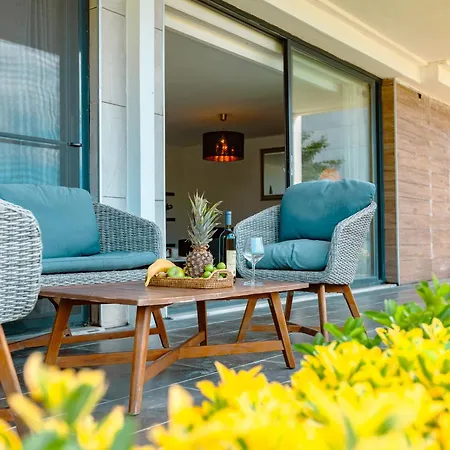 Royal Blue - Luxury *