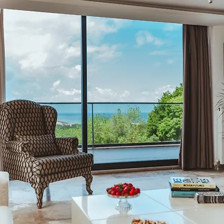 Royal Blue - Luxury *